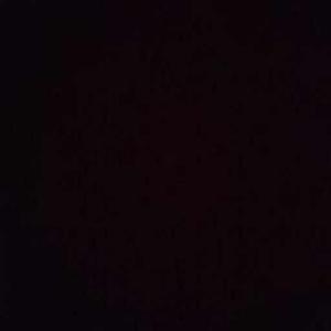 Vanshika Bajpai logo