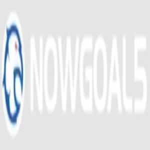Nowgoal logo