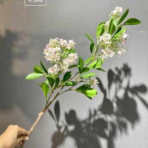 Rubaiyat Akhter Mahi logo