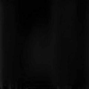 Akanksha Narayan logo