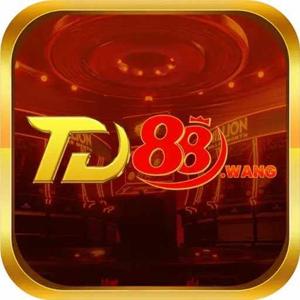 td88wang