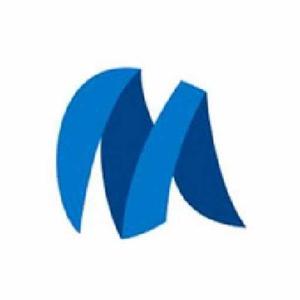 Money flock logo