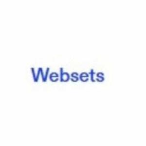  Websets Exa logo