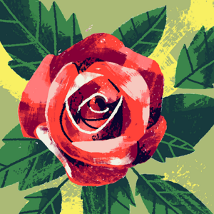 Sinu Fathima logo