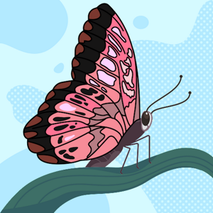 butterflys logo