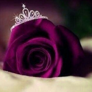 Katapally Roopa logo