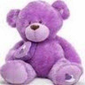 bharathi ventrapragada logo