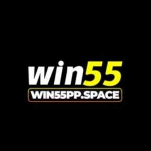 WIN55 logo