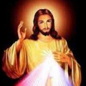 praveena J.PRAVEENA logo