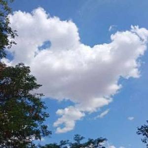 2924 L.Lakshmi Lahari logo