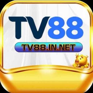Tv88 in net