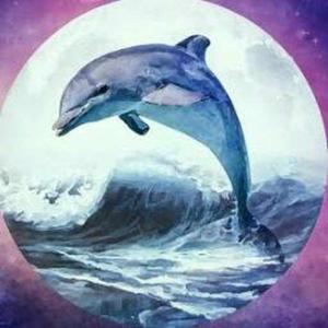 Midnight_Coffee logo