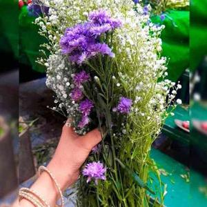 Satya Devarakonda logo