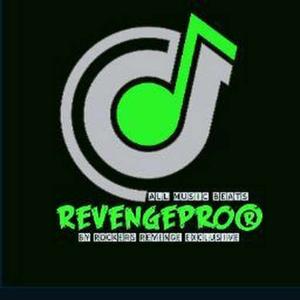 Haiqan wesinger logo