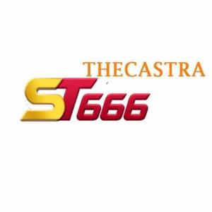 ST666 logo