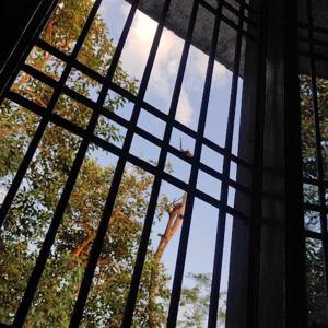 Tasmiya Farooqui logo