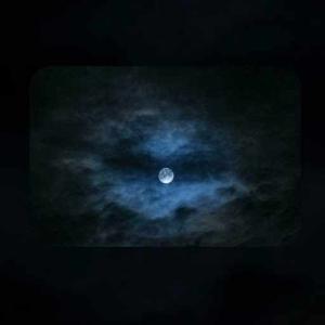 Japji Kaur Bhambra logo