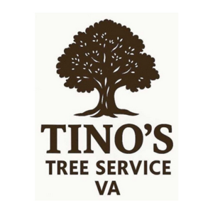 Tinos tree Services VA