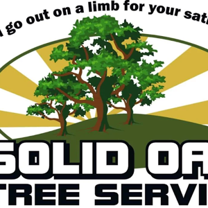 Solid Oak Tree Service