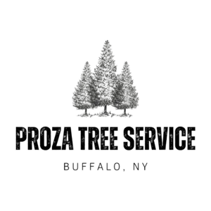Proza Tree Service
