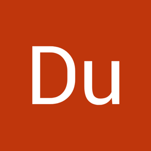 Du Ly a logo