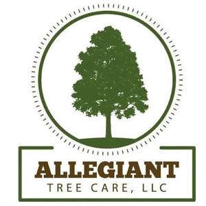 Allegiant Tree care