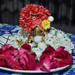 Neelam Deepak Bansal logo