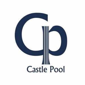 CASTLE INNOVATIVE SWIMMING POOLS L.L.C logo