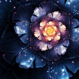 Anshupriya Kumari logo