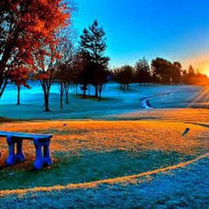 Saisiri Varshini logo