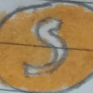Sweta Jha logo