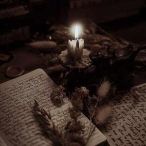 Vaibhavi Saxena logo