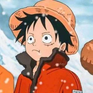 Shakeratun Nisa Bushra logo