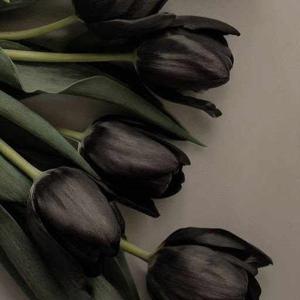 Drushti Meshram logo