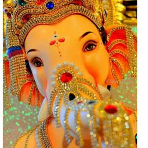 Shreya Mohite logo