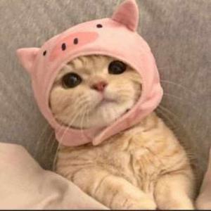 21BCM506 Bhuvaneshwari logo