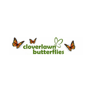 Cloverlawn Butterflies