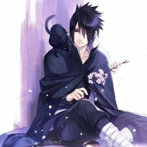 Anshima Ananya Singh logo