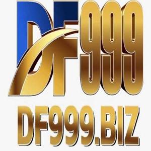 Df999 biz logo