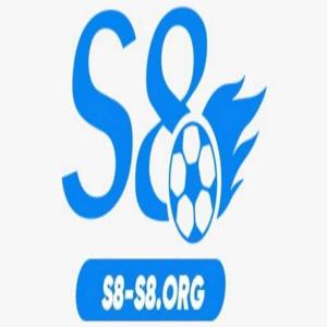 S8s8 org logo
