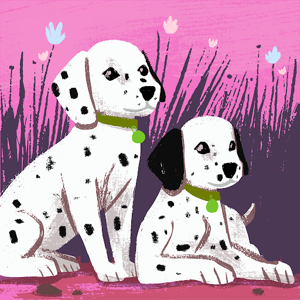 Chaudhary Khushbu logo