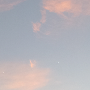 Angel Sarmiento logo