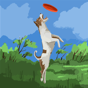 aayusha Pokhrel logo