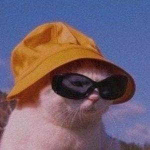 Aditi Hom Chowdury logo