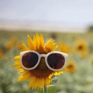 Ashwini Sakthivel logo