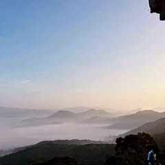 Poojitha Bunny Munnangi logo