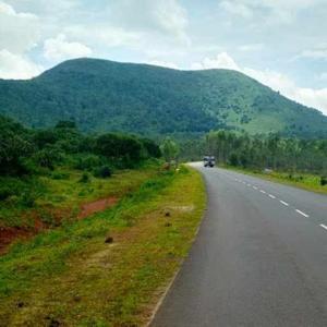 divya choudhary logo