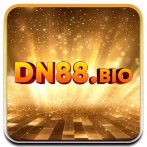 DN88