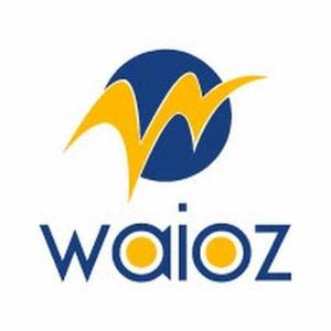 waioz  logo