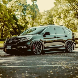 Dayrison Reynoso logo